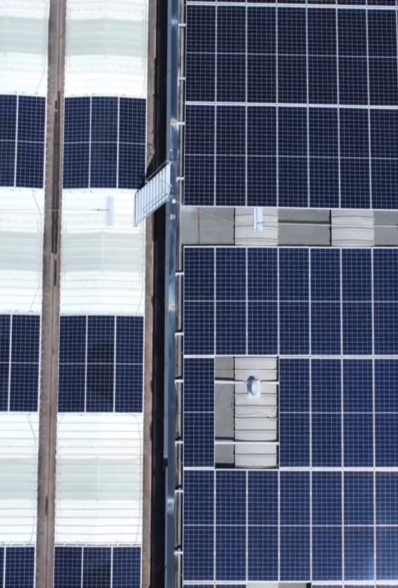 660d74c55ec5dfc0a5415988 thumb port